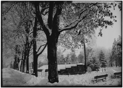 Giardino innevato ad Alessandria