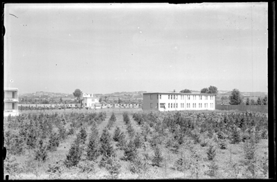 Veduta sul Sanatorio di Alessandria
