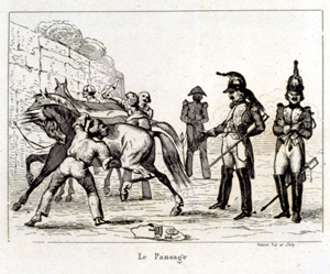 Le pansage