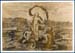 Venere