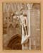 Particolari scultorei del Duomo di Milano