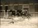 Caserma Valfrè, esibizione equestre